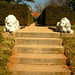 Bertha Bailey Photo 25