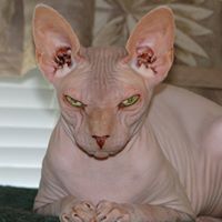 Mark Healey Photo 20 Mark Healey Photo 20