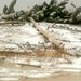 Christopher Weir Photo 28