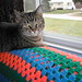 Mandy Clinton Photo 7