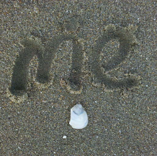 Michele Carlson Photo 13