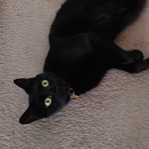 Thomas Eaton Photo 14