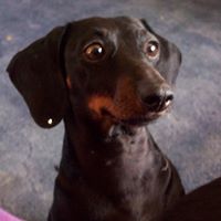 Roben Smith Photo 23