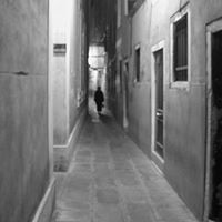 Tracy Devine Photo 4