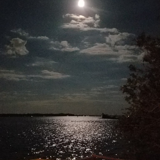 Marshall Hunter Photo 14