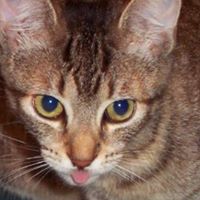 Kenneth Dykes Photo 34