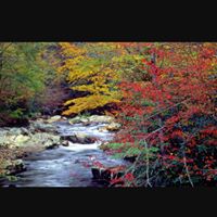 Ingrid Robinson Photo 16