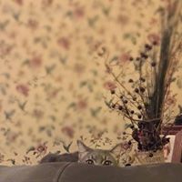 Vicky Carter Photo 35