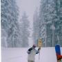 Steven Johnston Photo 24