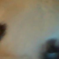 Jay Robbins Photo 26