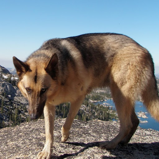 Bryan Selby Photo 22