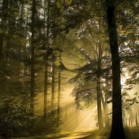 Benoit Bergeron Photo 4