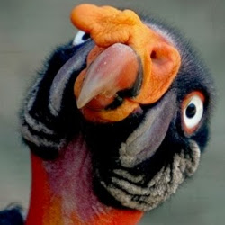 Megan Caruso Photo 5