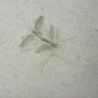 Christine Connors Photo 11