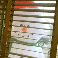 Nancy Roeder Photo 15