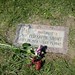 Elizabeth Short Photo 17
