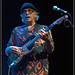Nick Lowe Photo 8