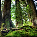 Arthur Stump Photo 4