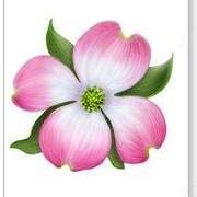 Paula Mills Photo 14