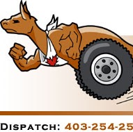 Mark Forrest Photo 32 Mark Forrest Photo 32