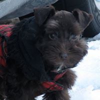 Stephanie Israel Photo 28