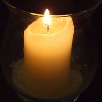 Dolores Nelson Photo 16