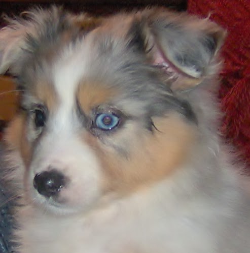 Jacqueline Waggoner Photo 2