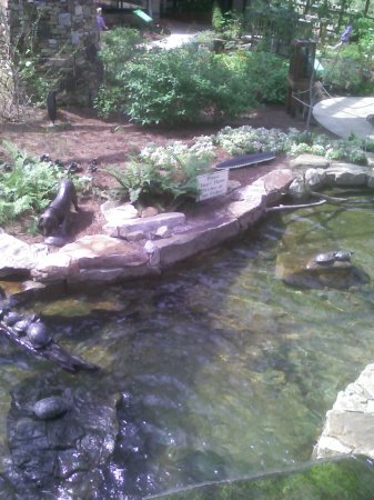 Christy Reynolds Photo 5