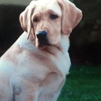 Leah Fleming Photo 13