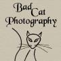 Lisa Mcclintock Photo 10