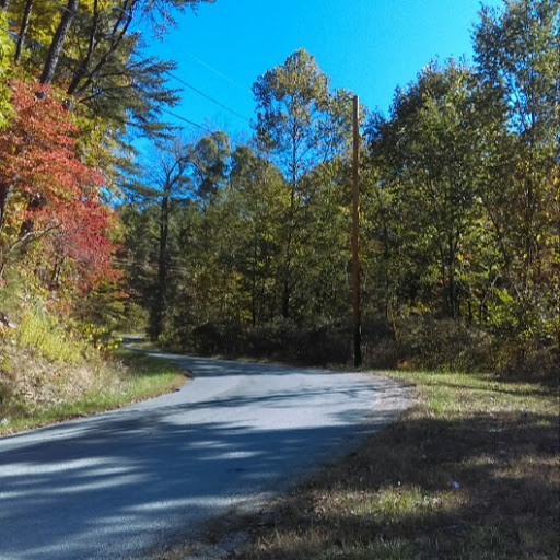 Meagan Hall Photo 14