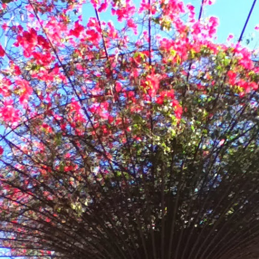 Kimberly Tilley Photo 9