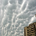 David Farris Photo 13