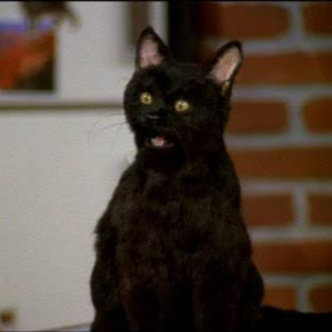 Miguel Juarez Photo 29 Miguel Juarez Photo 29