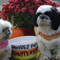 Nancy Benedict Photo 24