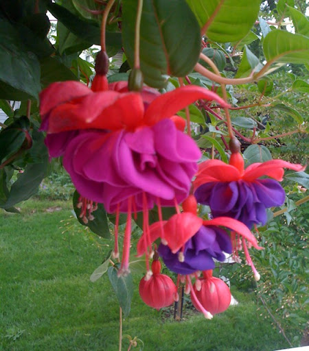 Sandra Whitmore Photo 7