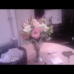 Suzanne Wolf Photo 17