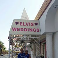 Peter Downes Photo 15