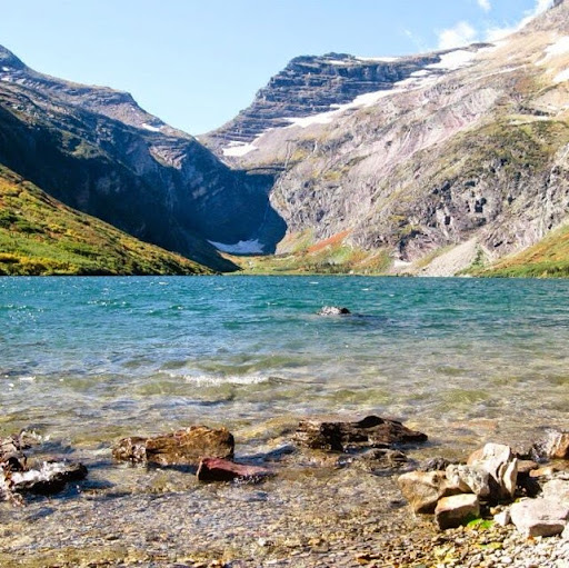 Ross Miller Photo 16