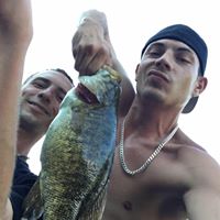 David Doherty Photo 42