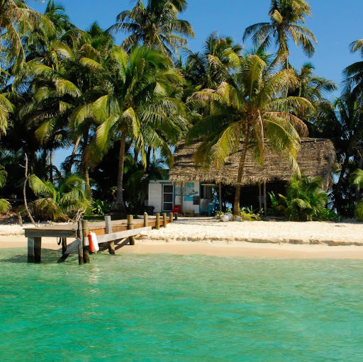 David Harms Photo 37