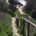 Al Manzanares Photo 6