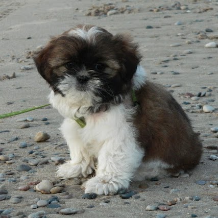 Jessica Reid Photo 16