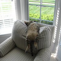 Thomas Krause Photo 15