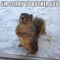 Diane Jakubowski Photo 3