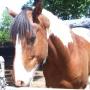 Donna Brugger Photo 11