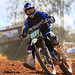 Scott Simon Photo 31