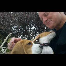 Marc Greenberg Photo 42