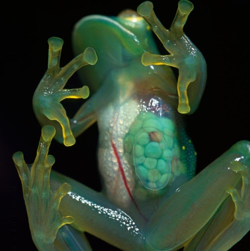 Stefan Rodriguez Photo 9