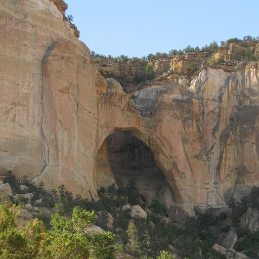 Julie Ritchie Photo 11